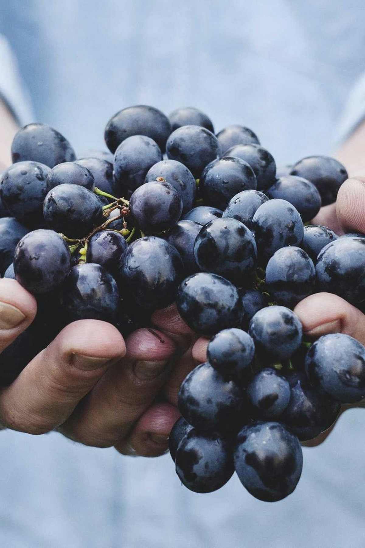 ⟦sample⟧ Restoration Yoga Studio